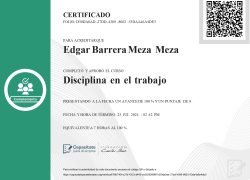 Disciplina-en-el-Trabajo-Certificado_page-0001